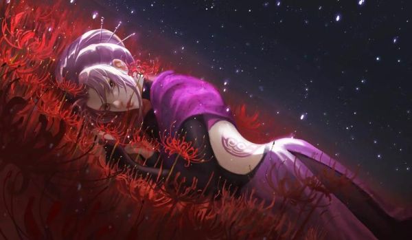 求一些紫女壁纸？-dnf刺客壁纸