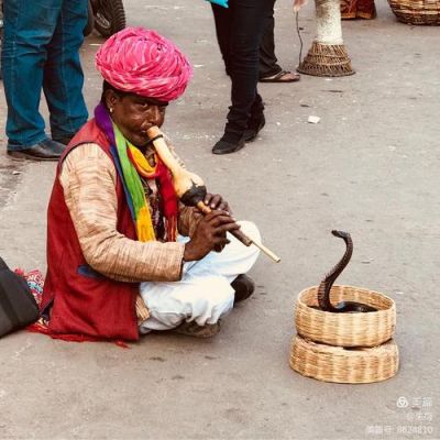 哈梅林的吹笛人的笛声为什么会带走小孩？-dnf鼠笛