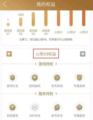 心悦一共有几级？-dnf心悦管家