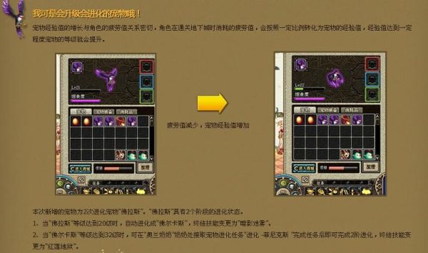 DNF宠物弗拉斯有什么用？-dnf宠物伊尔本属性