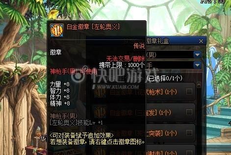 地下城旅人选什么勋章？-dnf左轮奥义