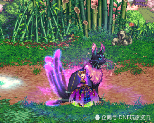 dnf神兽装扮三尾猫是哪个？-dnf猫宠物