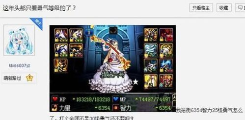dnf奶妈堆智力还是体力？-dnf奶妈叠智力