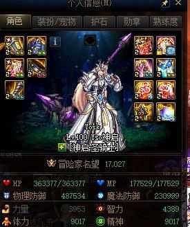 奶爸红10体力极限多少？-dnf体力最高的奶爸