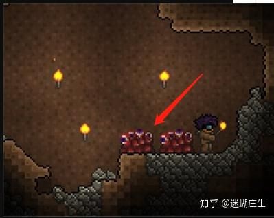 泰拉瑞亚哪个种子可以生成世纪？-dnf泰拉创世纪