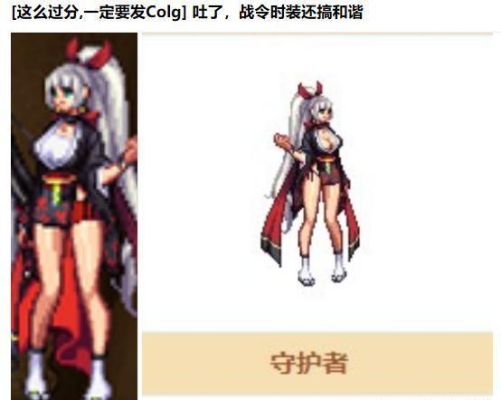 帕拉丁上衣时装属性选什么？-dnf帕拉丁介绍