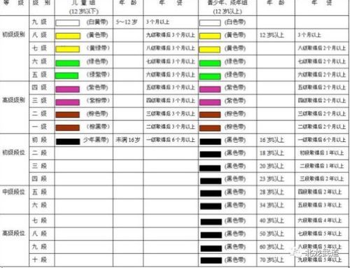 武道等级怎么划分，那些什么明劲，暗劲？-dnf武器12属强