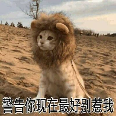 虎牙90911是什么公会？-dnf大象