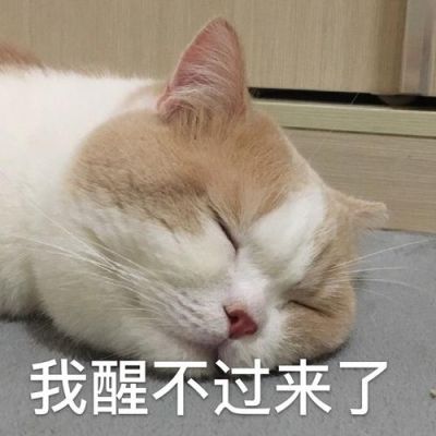 晚上被猫弄醒是不是不吉利？-dnf灵介质