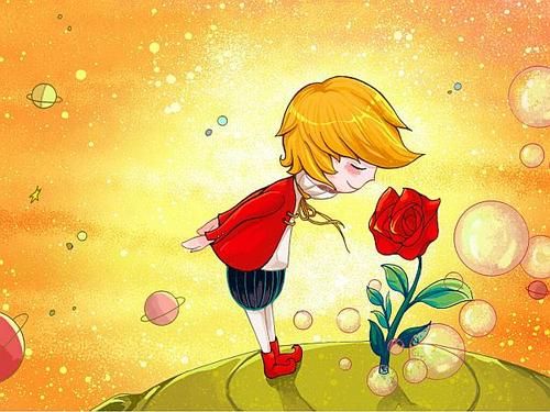 小王子上的是什么幼儿园？-dnf路易斯姐姐