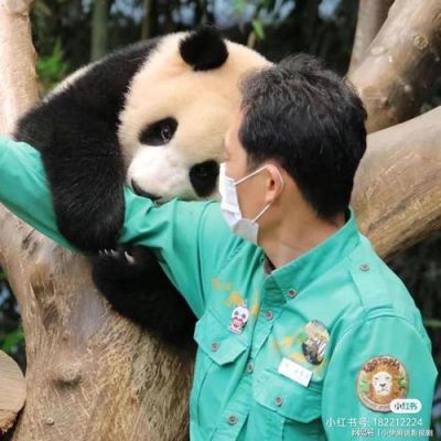 乐乐熊猫小时候的奶爸叫什么？-dnf2000体奶爸