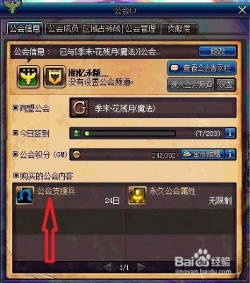 DNF那个支援兵怎么用？按哪个键？怎么找不到？-dnf支援兵怎么弄