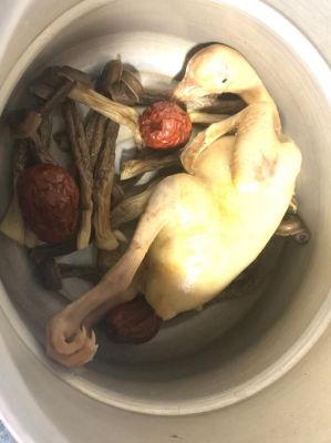 鸽子鲜蘑菇怎么炖最营养？-dnf营养蘑菇
