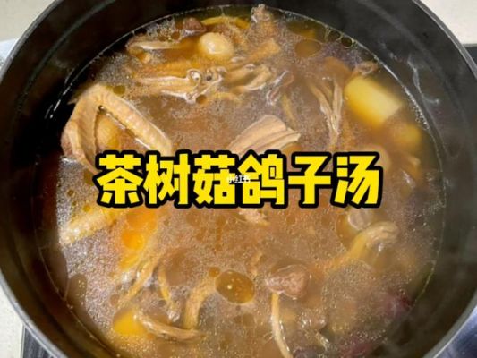 鸽子鲜蘑菇怎么炖最营养？-dnf营养蘑菇