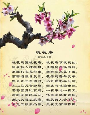 唐伯虎《桃花庵》诗的意思是什么？-dnf剑宗美图