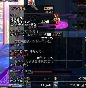 可以交易的宠物？-dnf巴拉姆图片