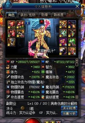 奶爸体力和精神混搭怎么样？-dnf奶爸体力和精神